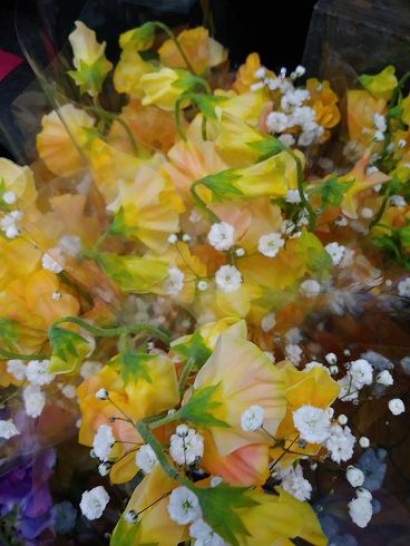 ワンオペ 花屋な日々 楽天ブログ ワンオペ 花屋な日々 楽天ブログ