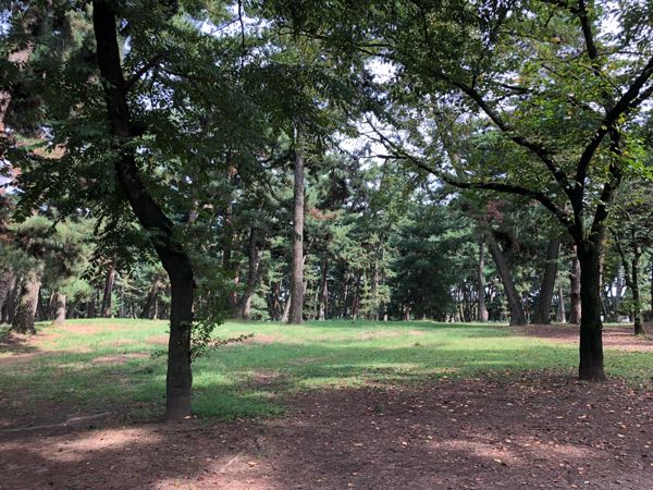 rblog-20180917145715-03.jpg