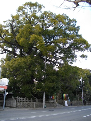 新熊野神社