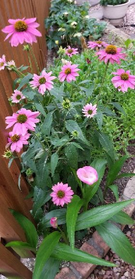 rblog-20180605094919-04.jpg