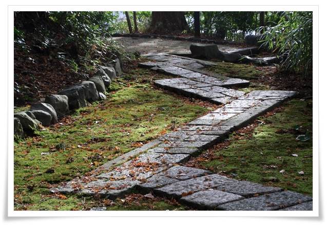 卯辰山山野草園-12 15.12.9