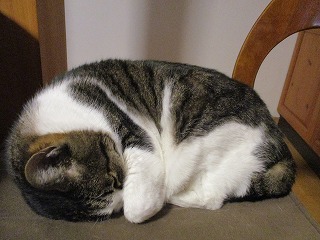 IMG_6123ss.jpg