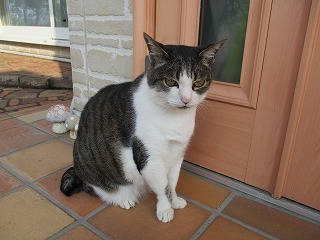 IMG_0315ss.jpg