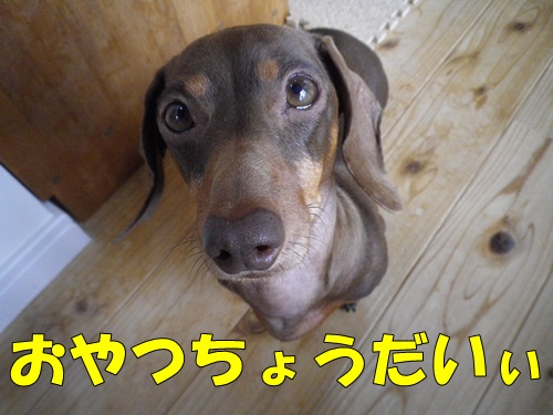 私と見つめ合う