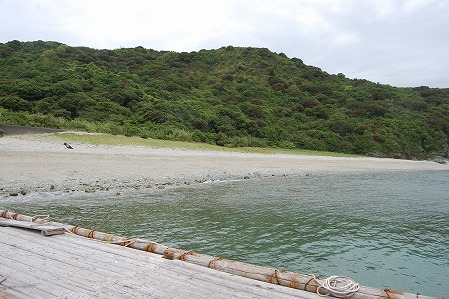 DSC_1164.jpg