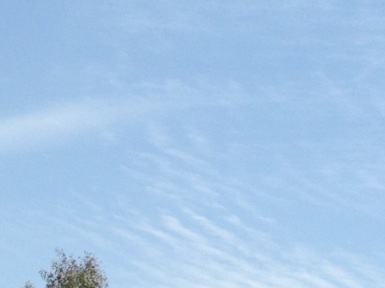 空