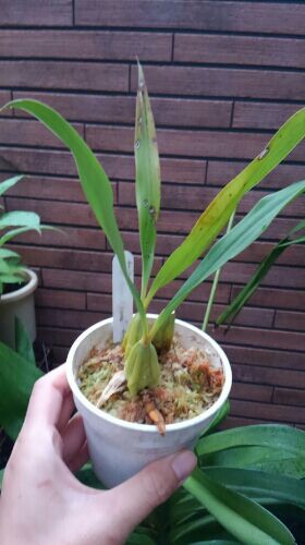 rblog-20160522222950-03.jpg