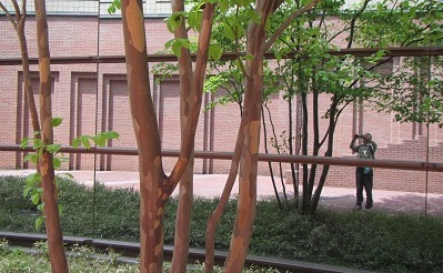 美７アリスの広場.jpg