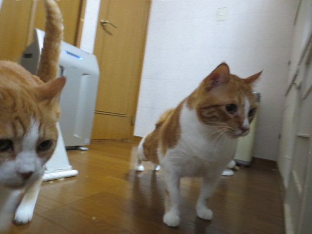 無題-24bitカラー-01.jpg