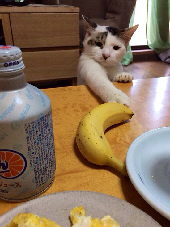 13131313.jpg