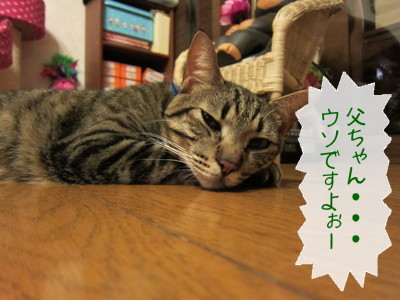20121218112609_w_400_h_300_6930571.jpg