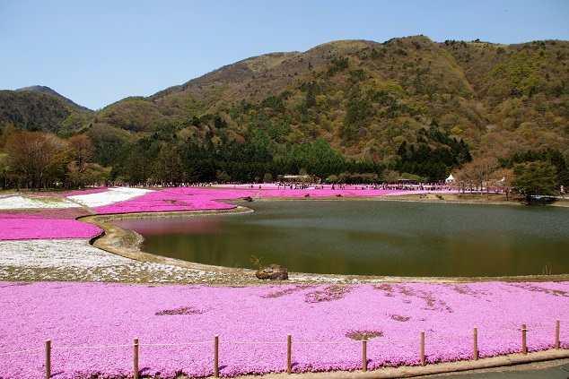 3.龍神池と竜ケ岳.JPG