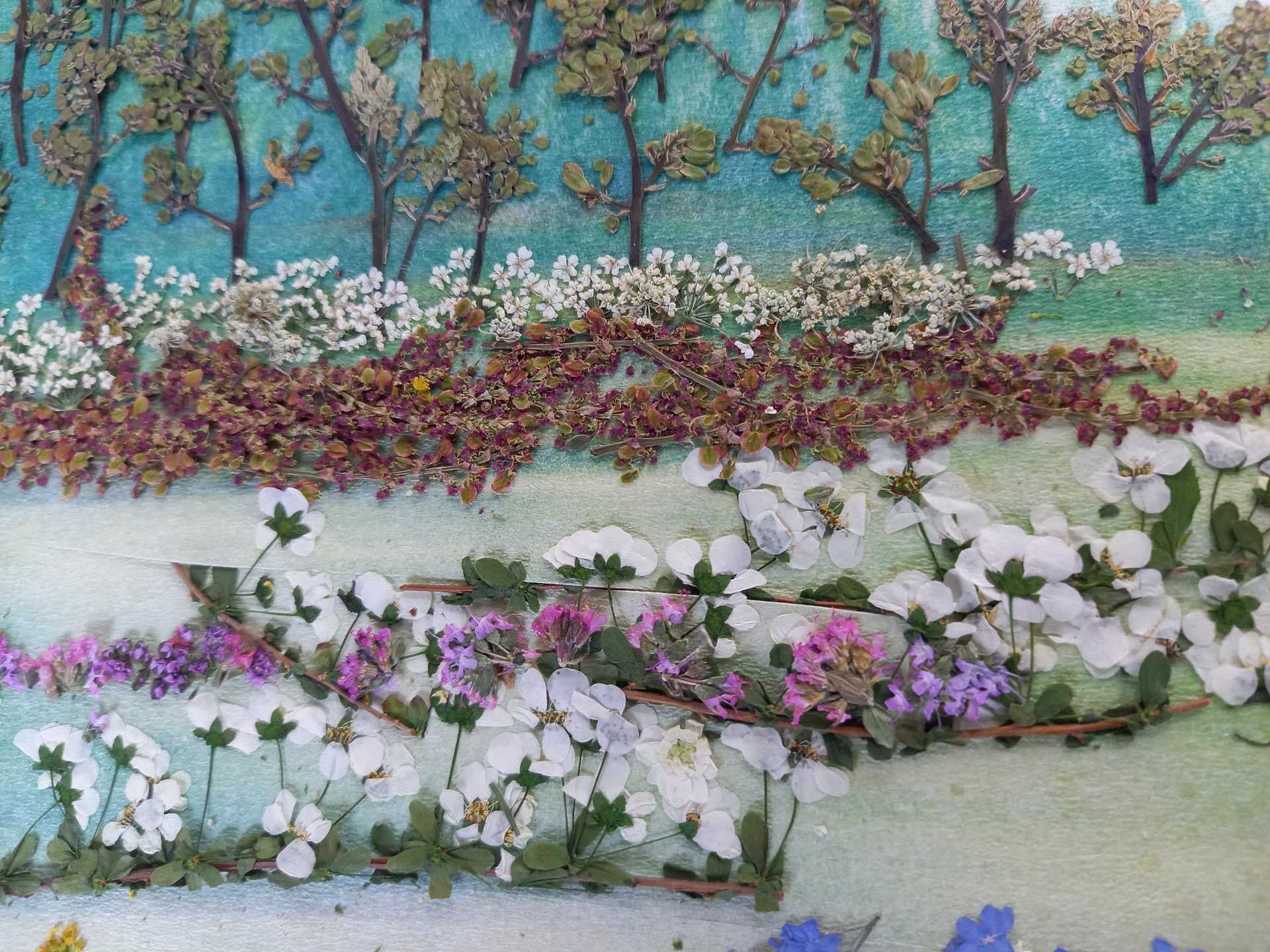 押し花絵額新作完成 | 山への情熱 音楽への愛 - 楽天ブログ