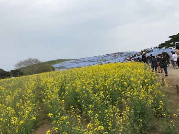 rblog-20170501131633-03.jpg