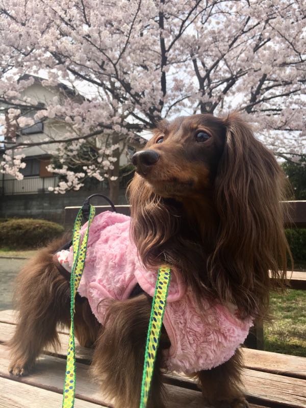 rblog-20180506152443-08.jpg