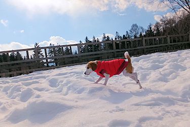 20160209走った！