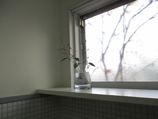 IMG_4328ss.jpg