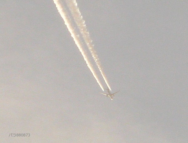 長い飛行機雲の先端に飛行機が！
