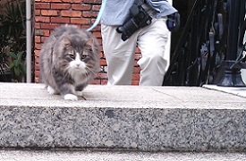 DSC_7158-27.jpg