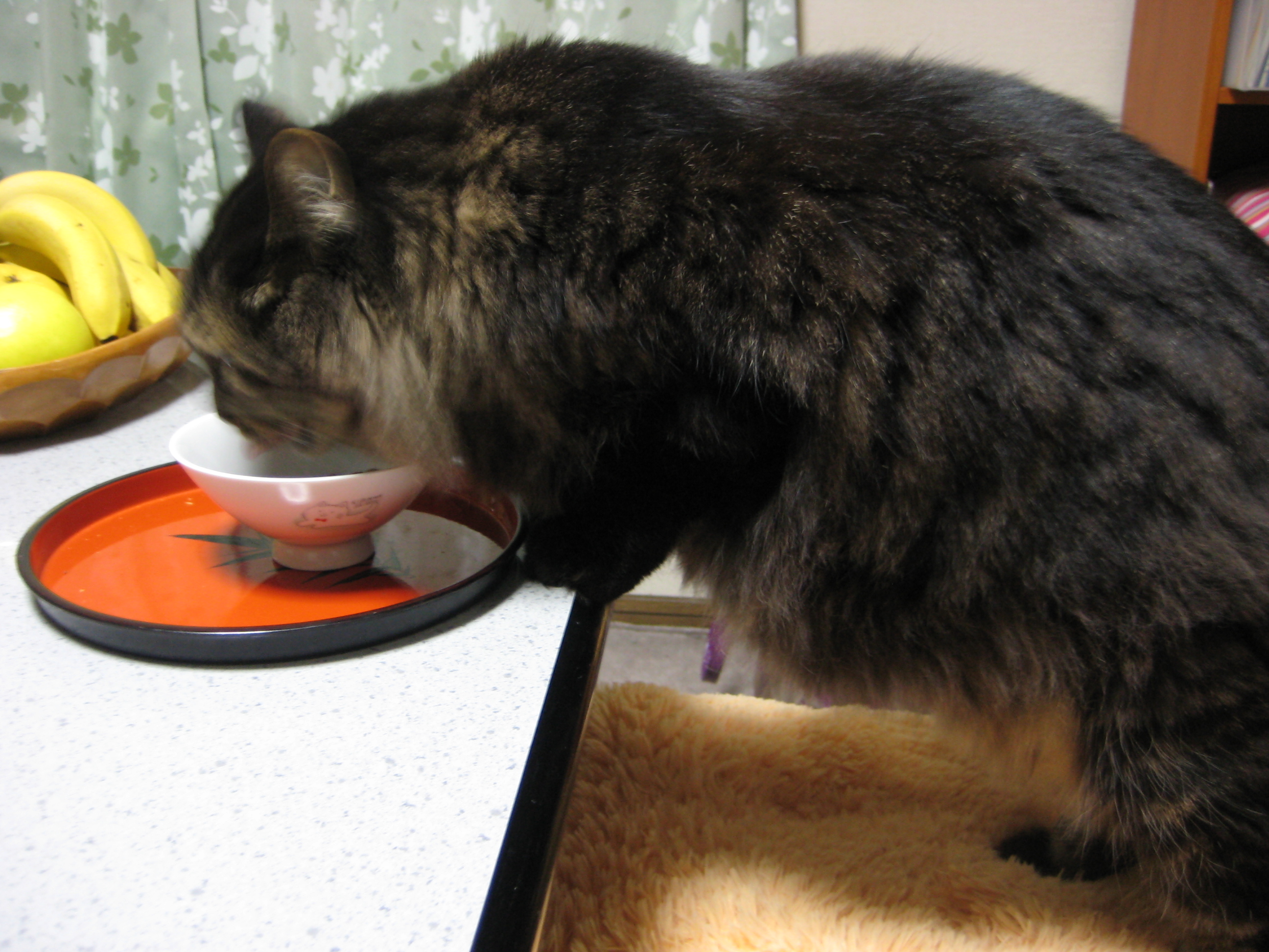 一階のお部屋で食事