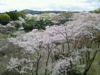 rblog-20140402120005-00.jpg