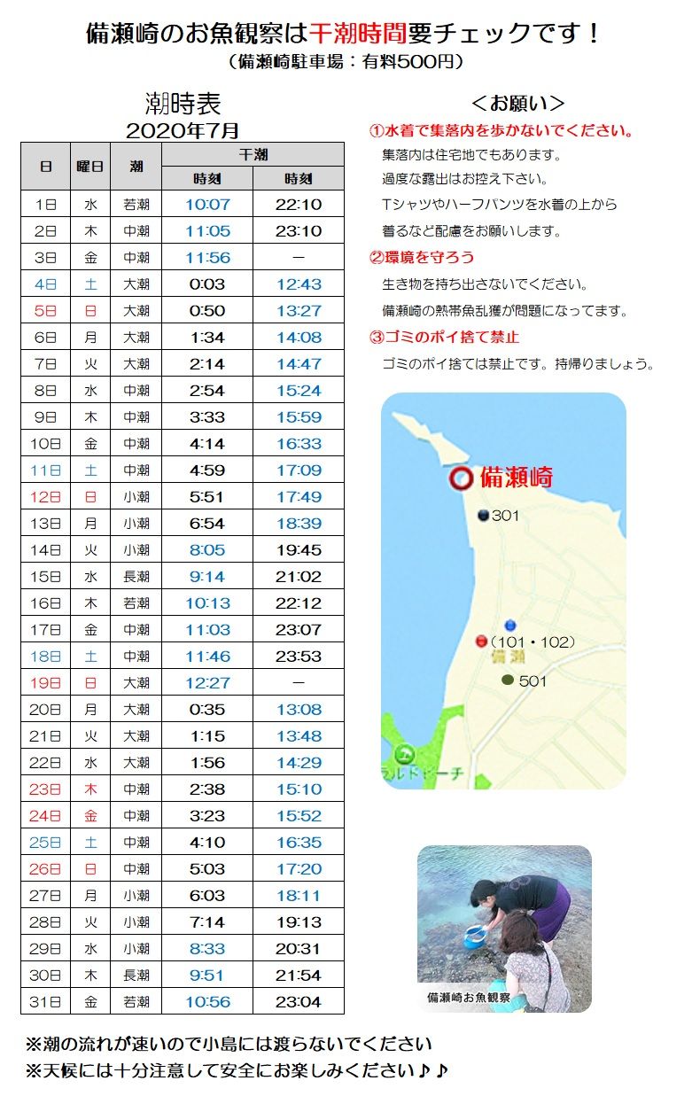 備瀬崎でお魚観察 干潮時間 フクギテラスの過ごし方 備瀬フクギ並木内 沖縄美ら海水族館近く 楽天ブログ