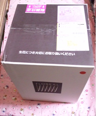 箱の中は.jpg