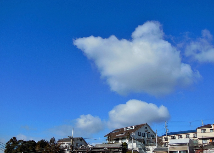 空3.JPG