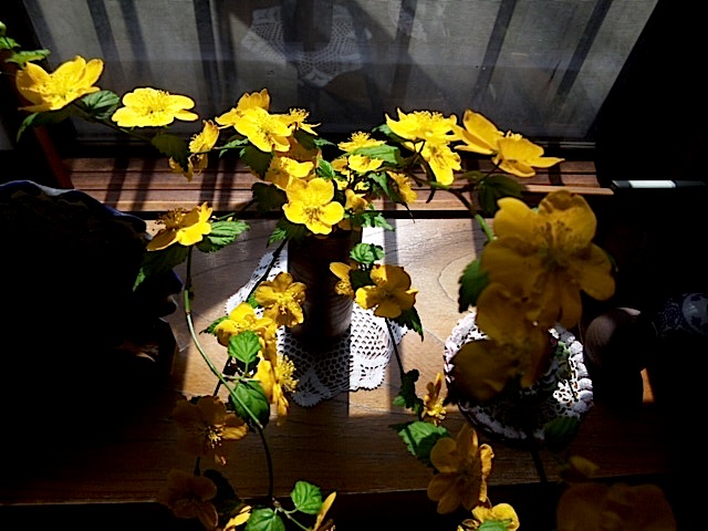 120406_133606.jpg