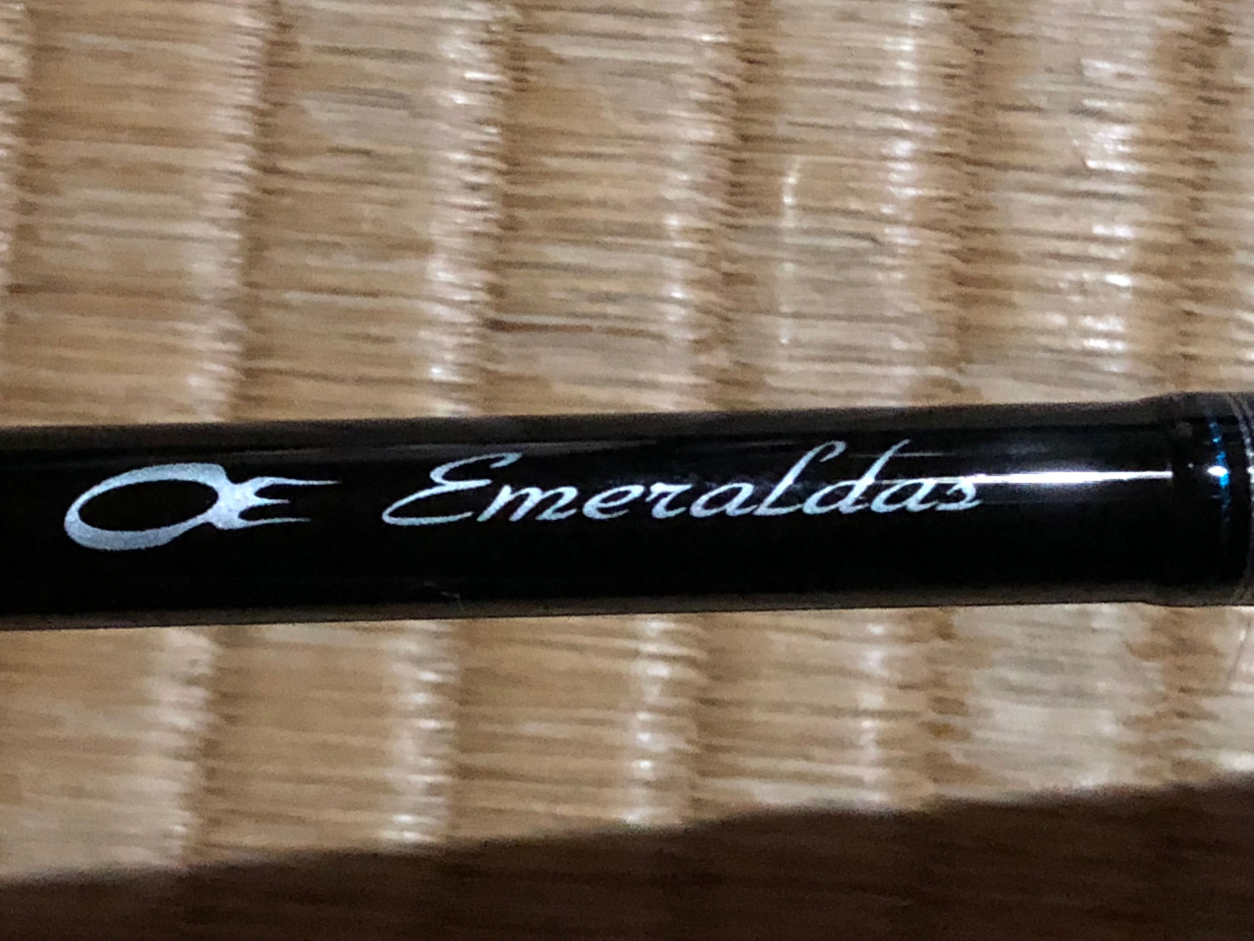 ティップランロッド買いました たまに釣り 楽天ブログ