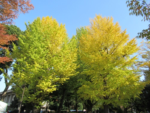 上野公園