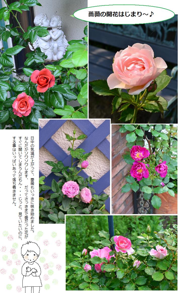 DSC_0358.JPG