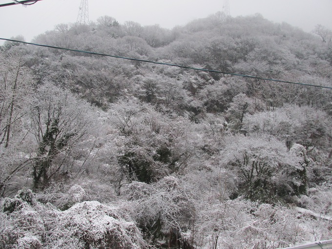 休山の積雪(１月３０)日