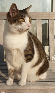 P1140397-ass.jpg