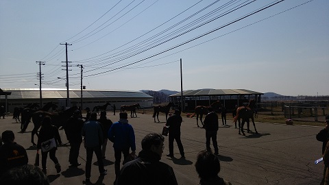 比較展示.jpg