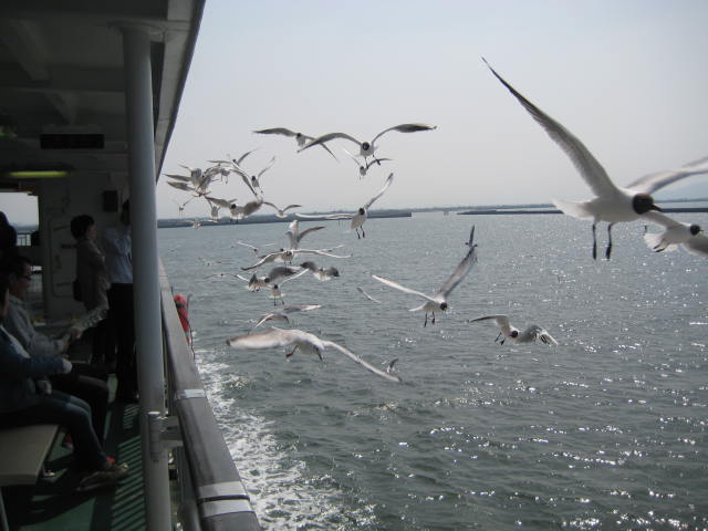 IMG_0540.JPG