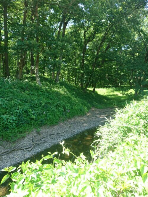 rblog-20180704002007-01.jpg
