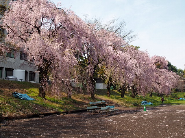 P4060333.jpg