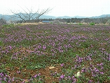 12030815.DSCN9993.jpg