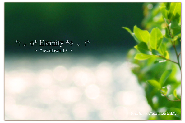 Photo by swallowtail　サイクリングB.jpg