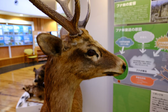2015 12 15_1161.jpg