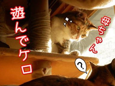 遊んで５.JPG