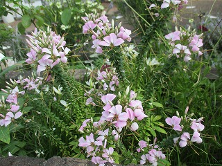 IMG_8123ss.jpg