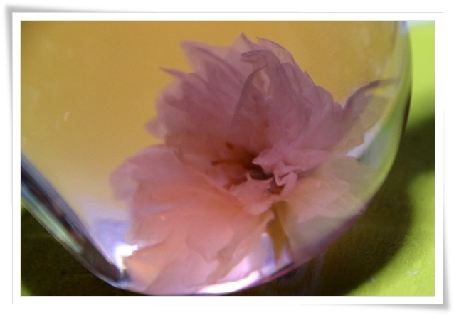 吉野山-29 お酒の中の桜 16.4.12