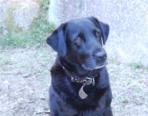 DSC_0160.JPG