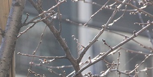 IMG_6482-9.jpg