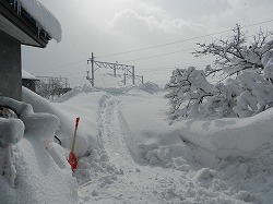 DSCN9812.jpg