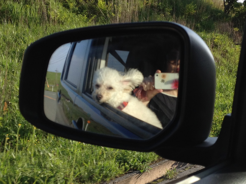 20150520_05.jpg