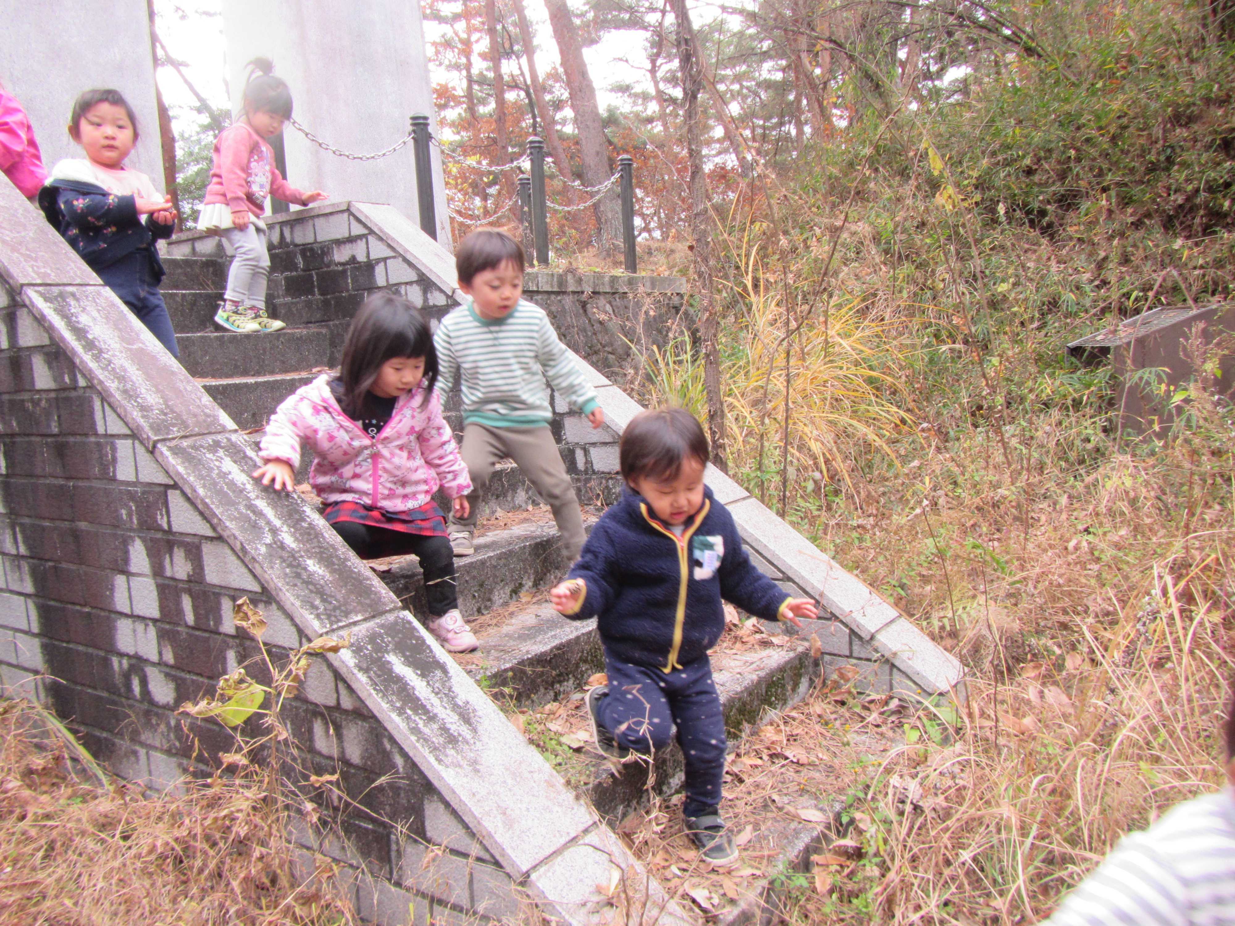 金山登山 | 認定こども園 アプリコット保育園 - 楽天ブログ