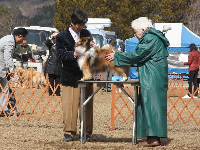 IMG_1079 - コピー.JPG